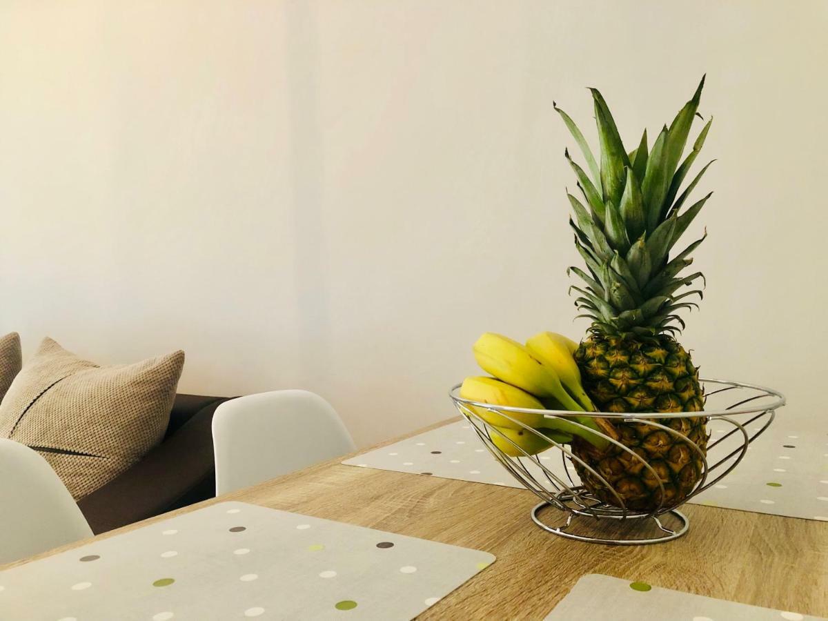 Anemos Apartment Palio PalaiónTsiflíkion 外观 照片